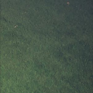 Meet your Posher, Adrian